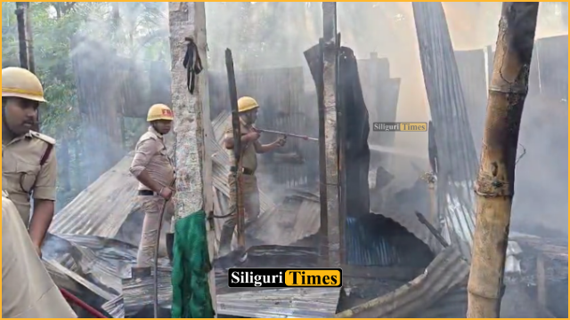 নকশালবাড়িতে অগ্নিকান্ডের ঘটনায় পুড়ে ছাই বাড়ি
