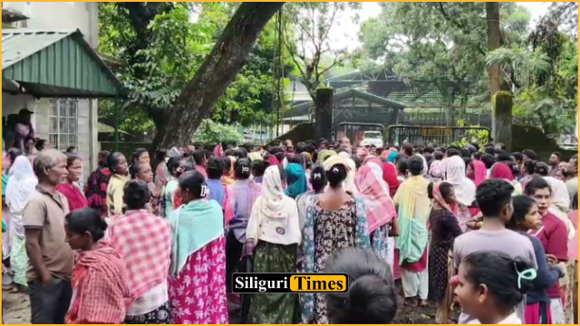 বোনাসের দাবিতে আন্দোলনে সামিল হল নকশালবাড়ি চা বাগানের শ্রমিকরা