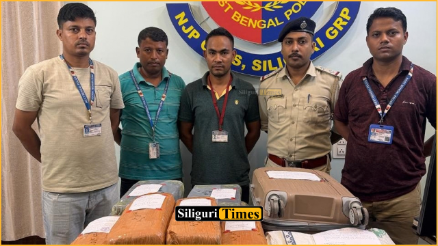 ট্রেনে করে গাঁজা পাচারের চেষ্টা বানচাল, এনজেপি স্টেশনে উদ্ধার ৩৫ কেজি গাঁজা