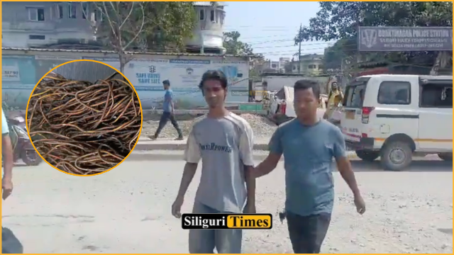শিলিগুড়িতে তামার তার চুরির অভিযোগে গ্রেফতার যুবক