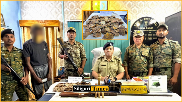 বন দপ্তরের অভিযানে প্যাঙ্গোলিনের আঁশ, বন্দুক ও কার্তুজ সহ গ্রেফতার ব্যক্তি