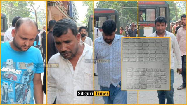 সোনা পাচারের ঘটনায় বড়সড় সাফল্য ডিআরআই এর, ৭২টি সোনার বিস্কুট উদ্ধার-গ্রেফতার ৪