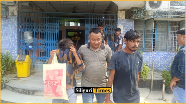 চতুর্থীর রাতে অপরাধমূলক ঘটনা ঘটানোর আগে গ্রেফতার ৩